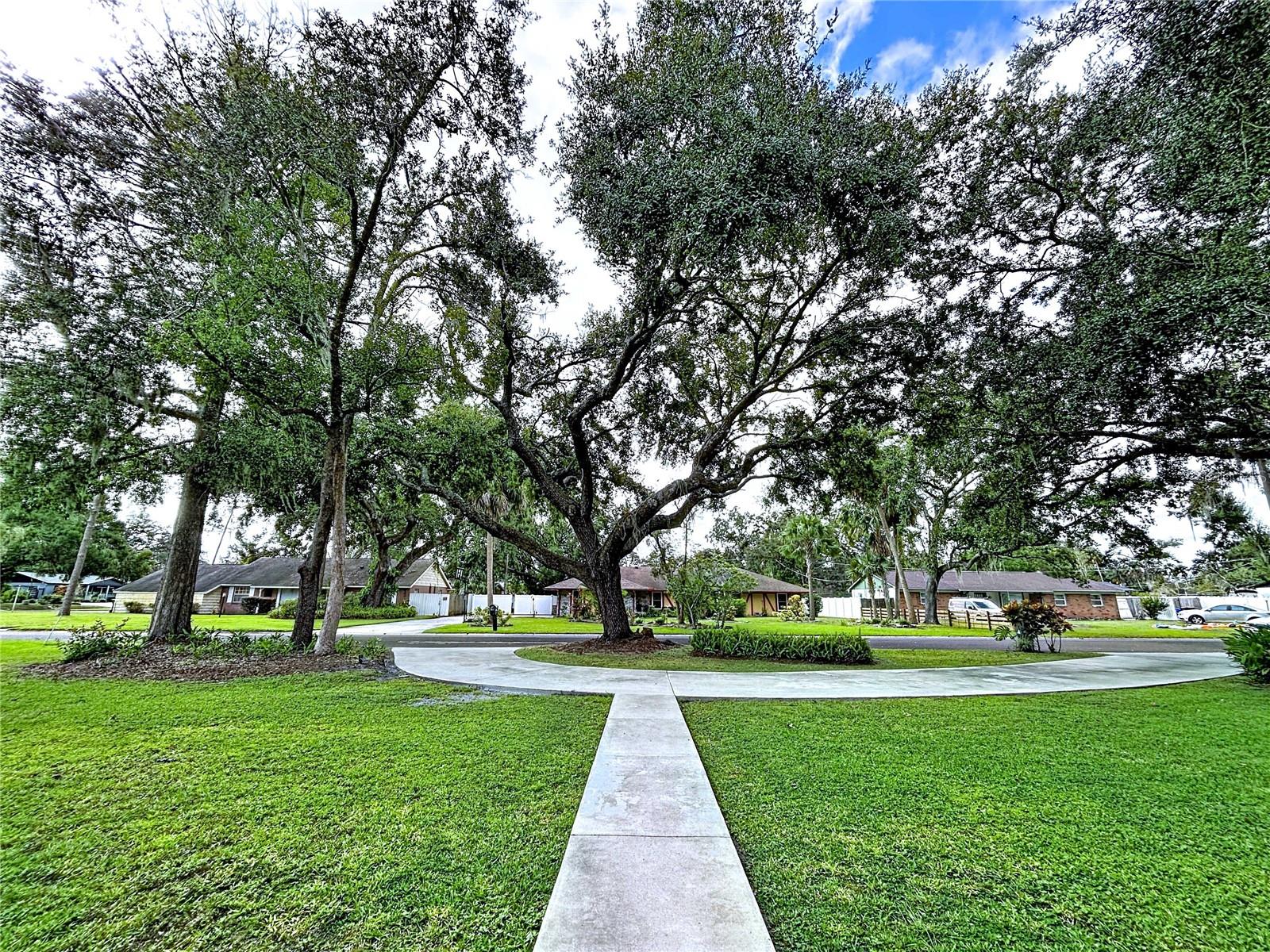 Circular driveway