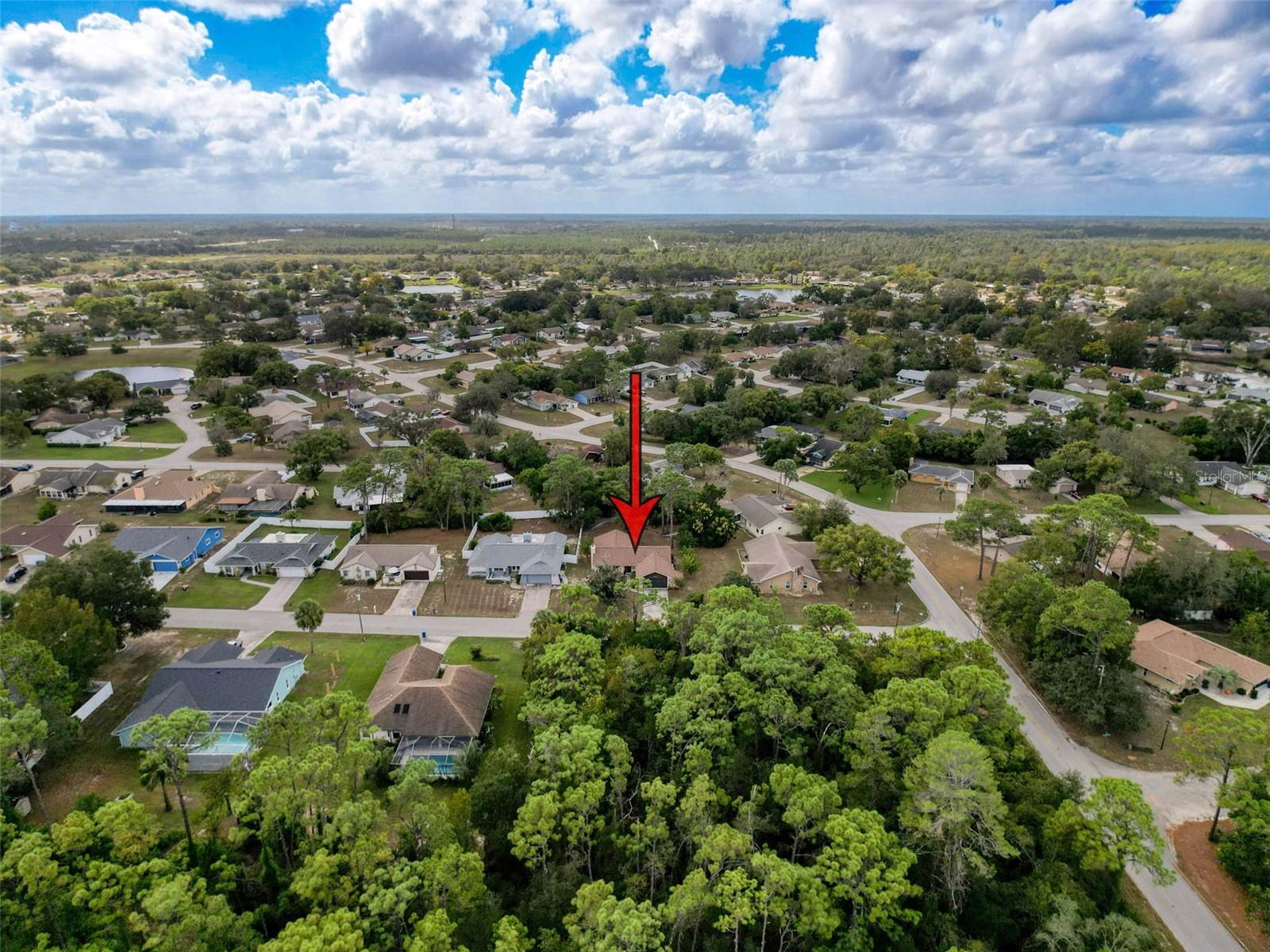 W7879767