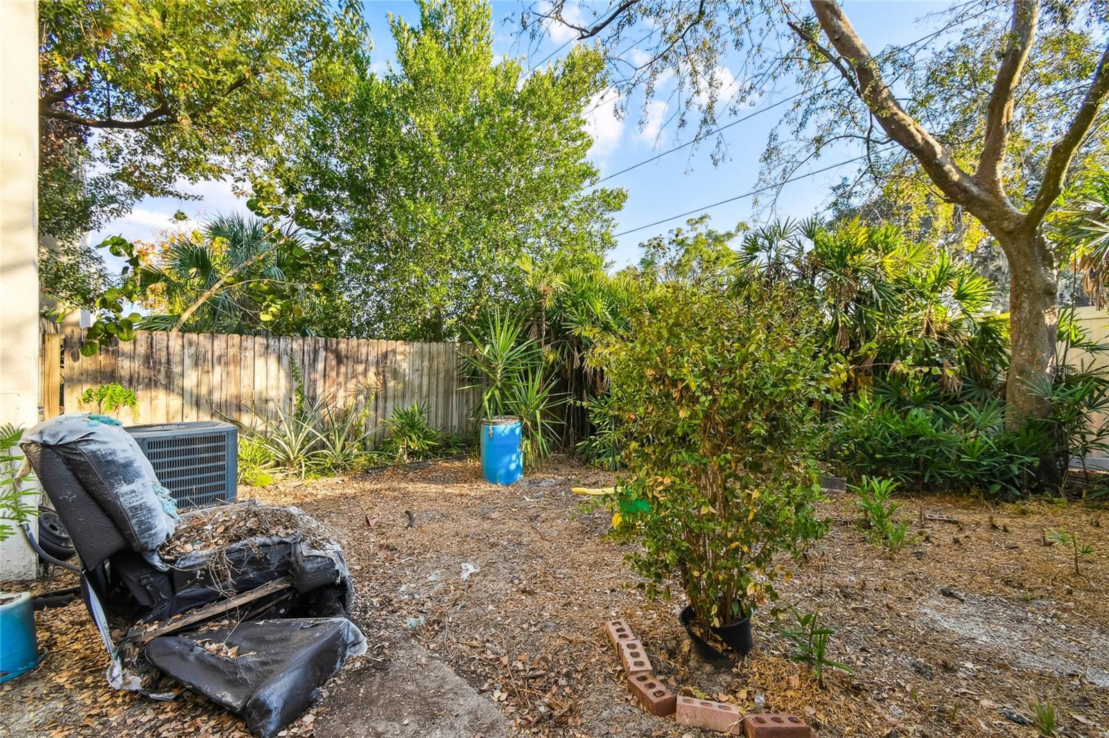 Backyard Looking East