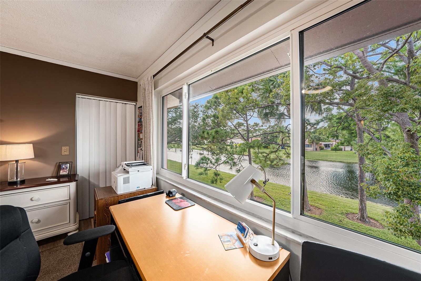 View from Primary Suite