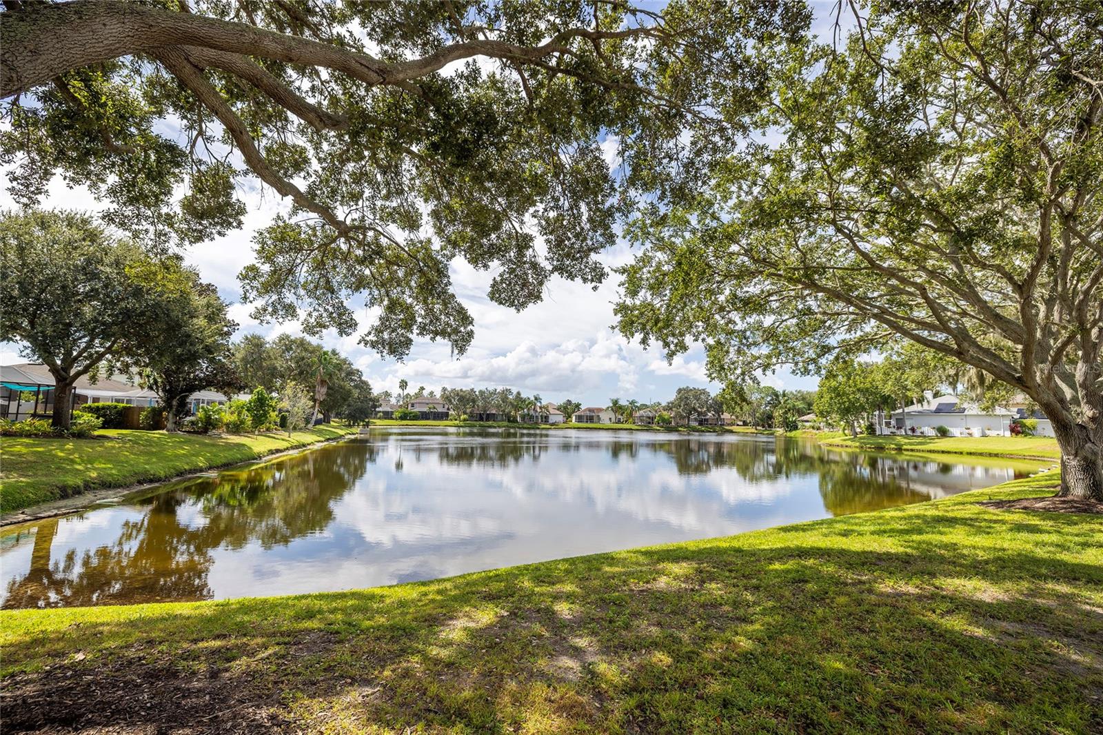 Pond view from front of the home