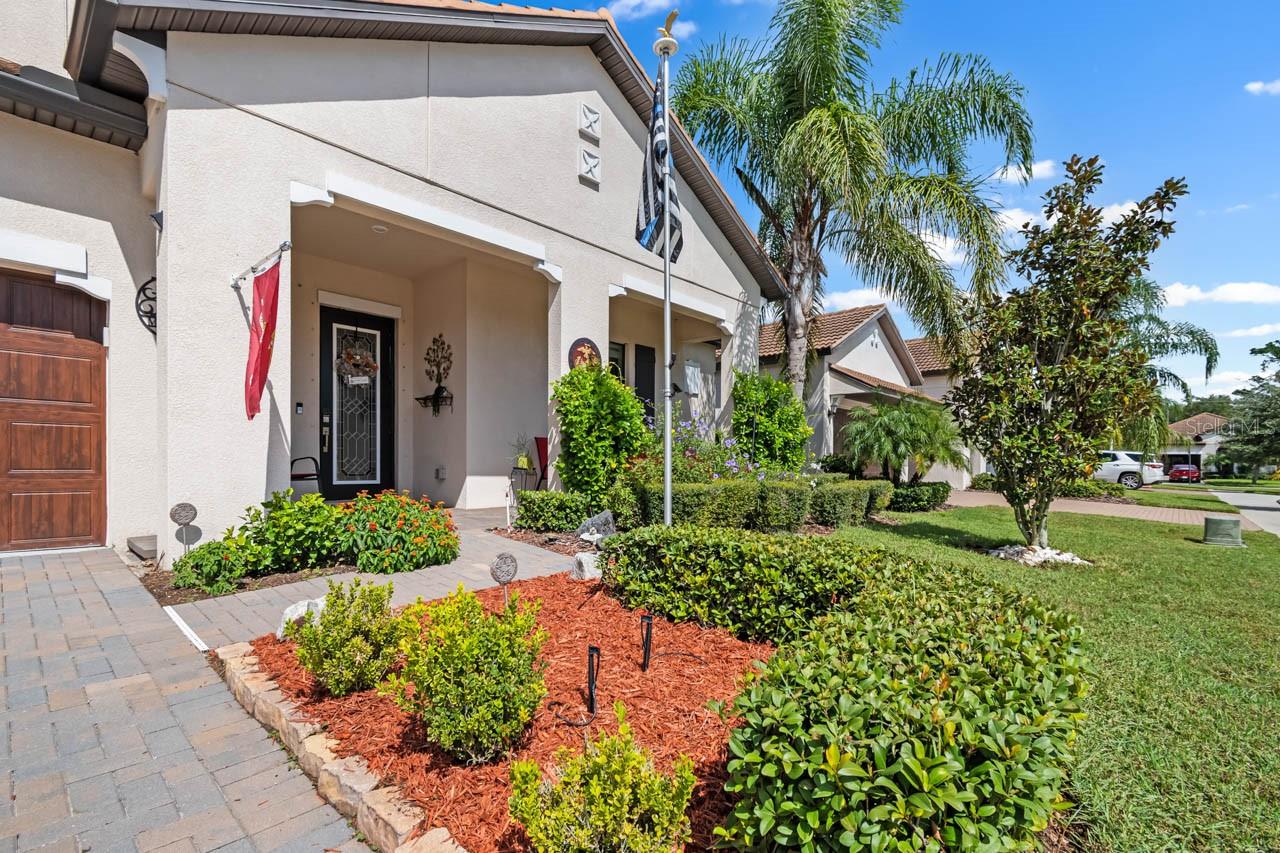 Mature Tropical Landscaping