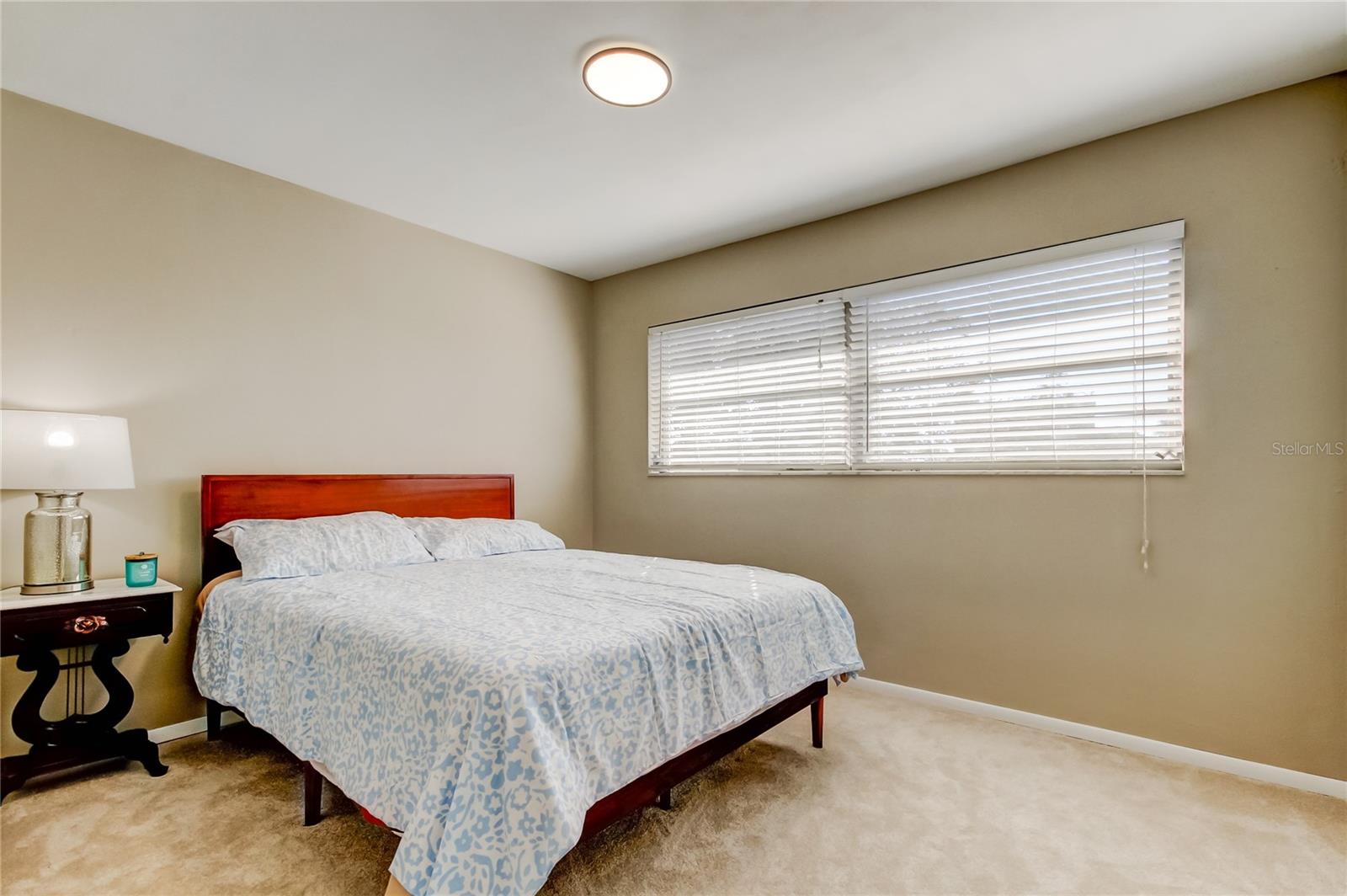 41. Bedroom #1 (10.2' x 14.4') Offers a HUGE Closet, NEW Plush Carpet, & Plenty of Light & Spaciousness