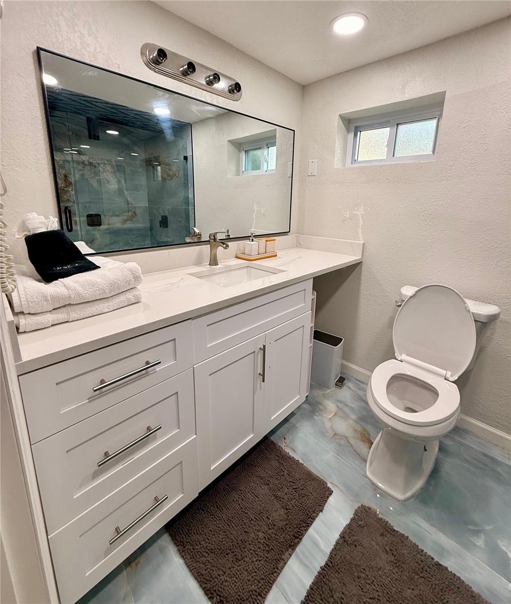 In-Law suite 1st floor bathroom