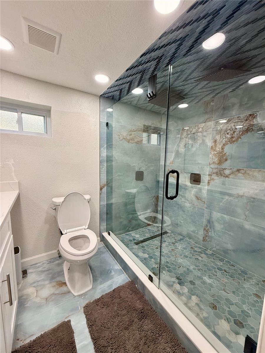 In-Law suite 1st floor bathroom