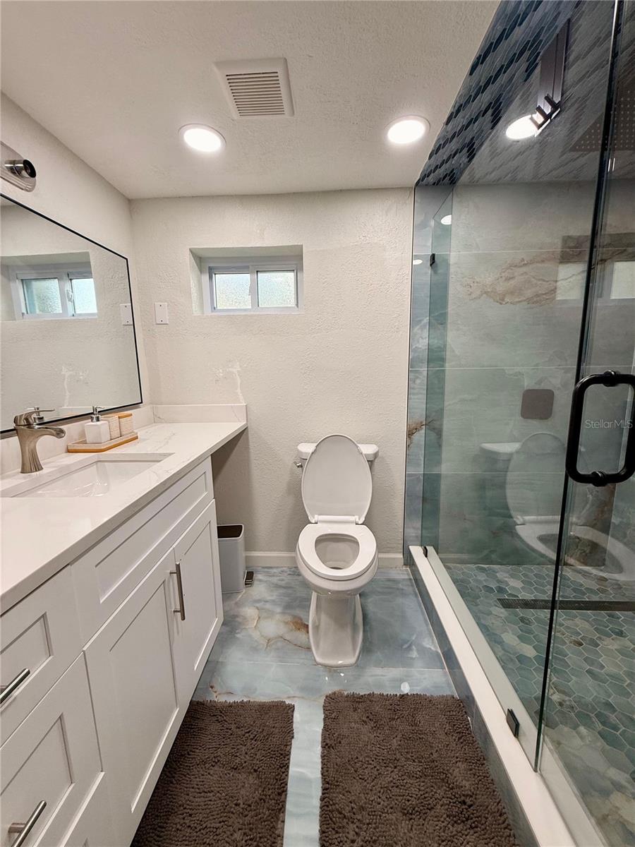 In-Law suite 1st floor bathroom