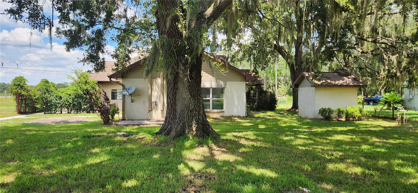 Yard behind front building and shed
