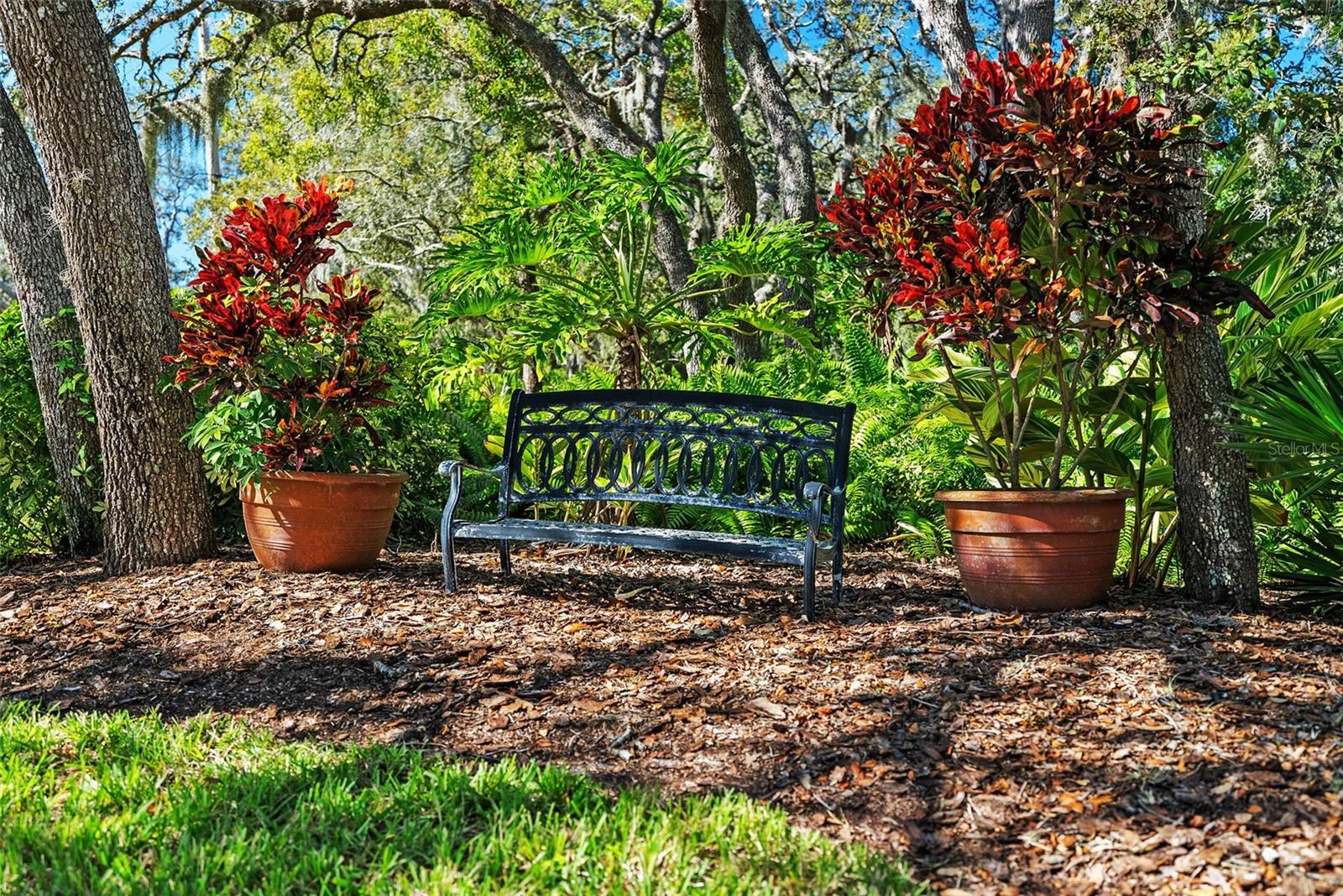 Gorgeous Landscaping