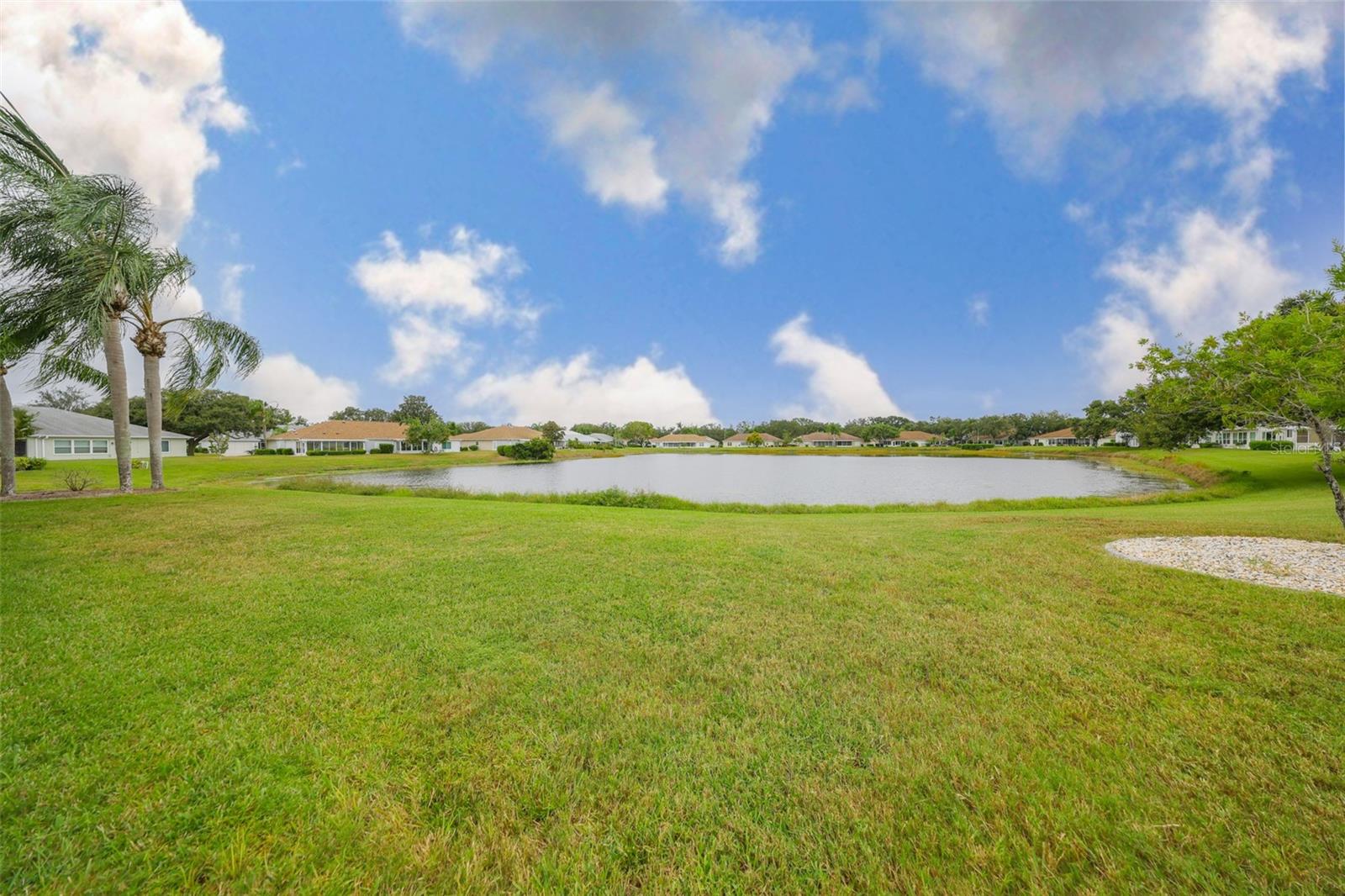 YOUR Backyard!
