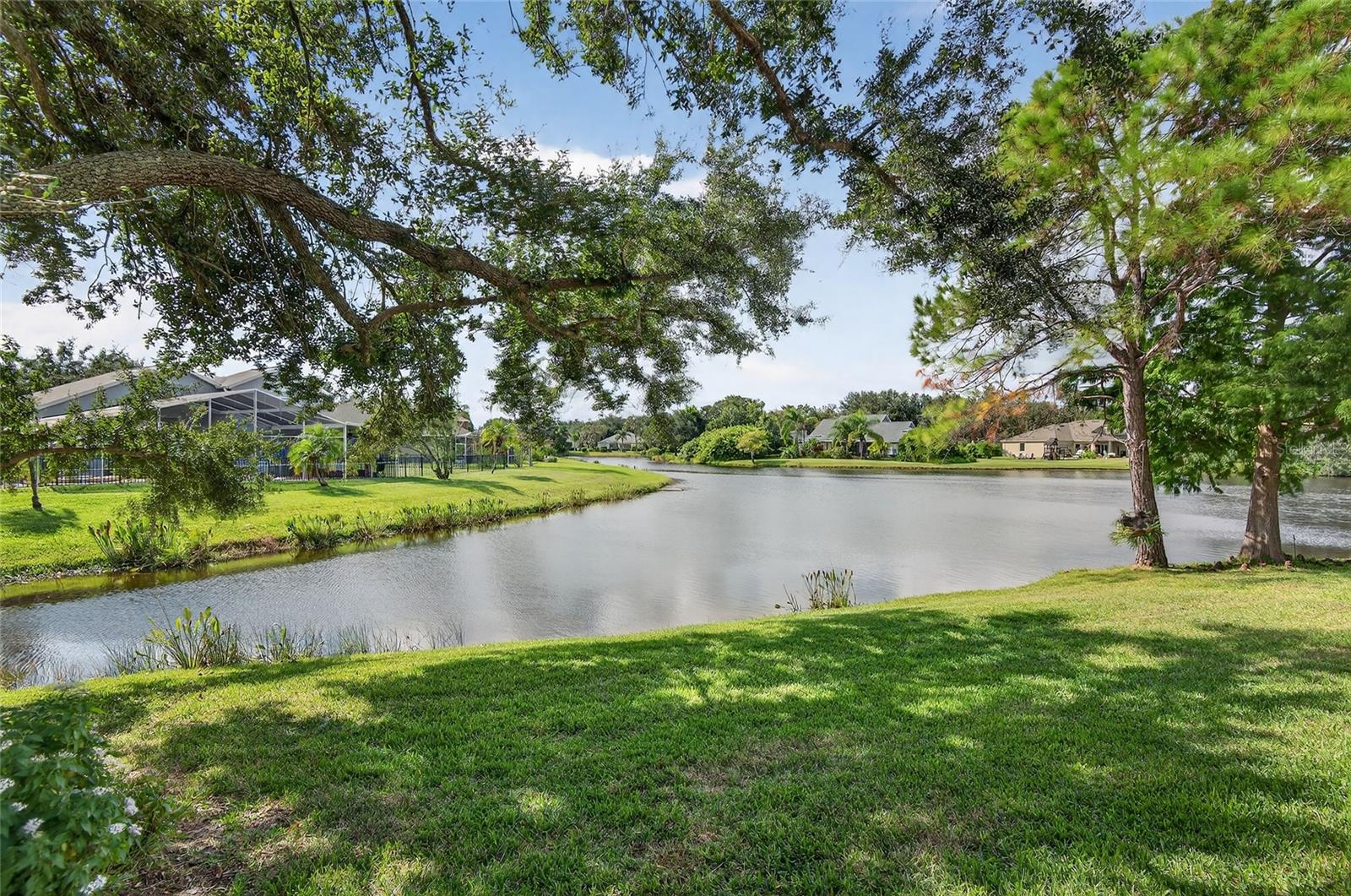Stunning view of the pond