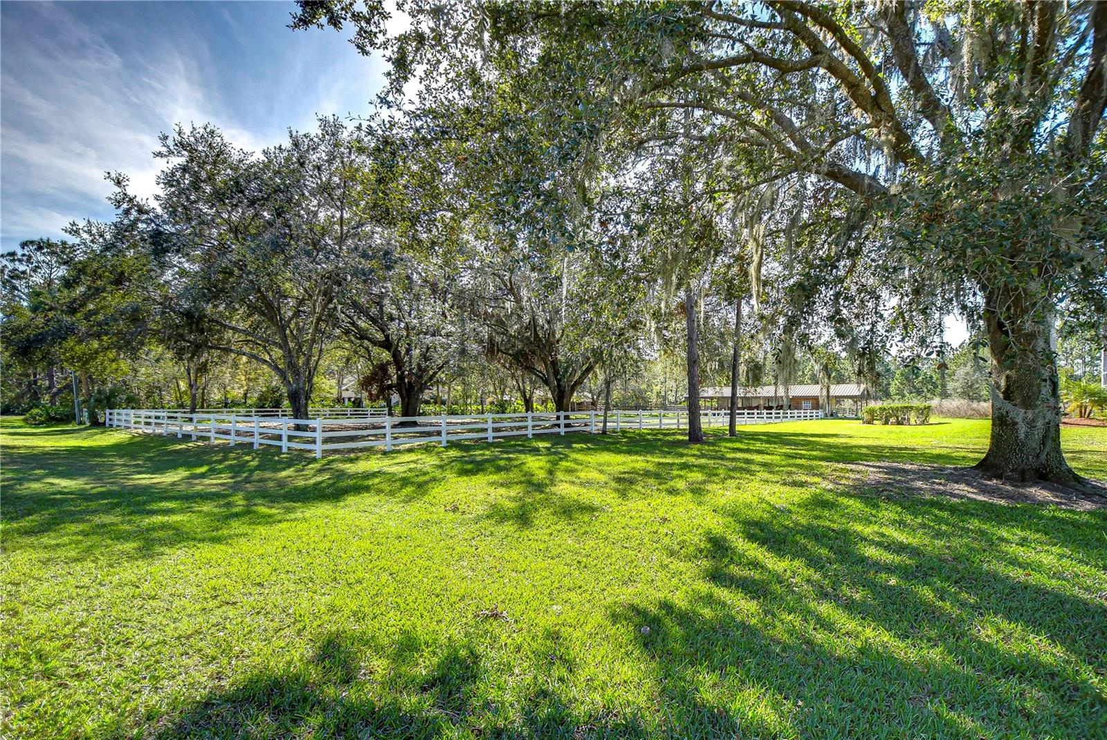 pasture
