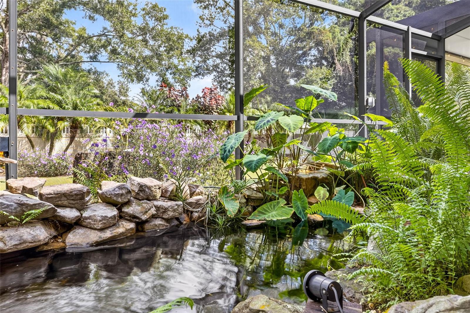 Koi Pond