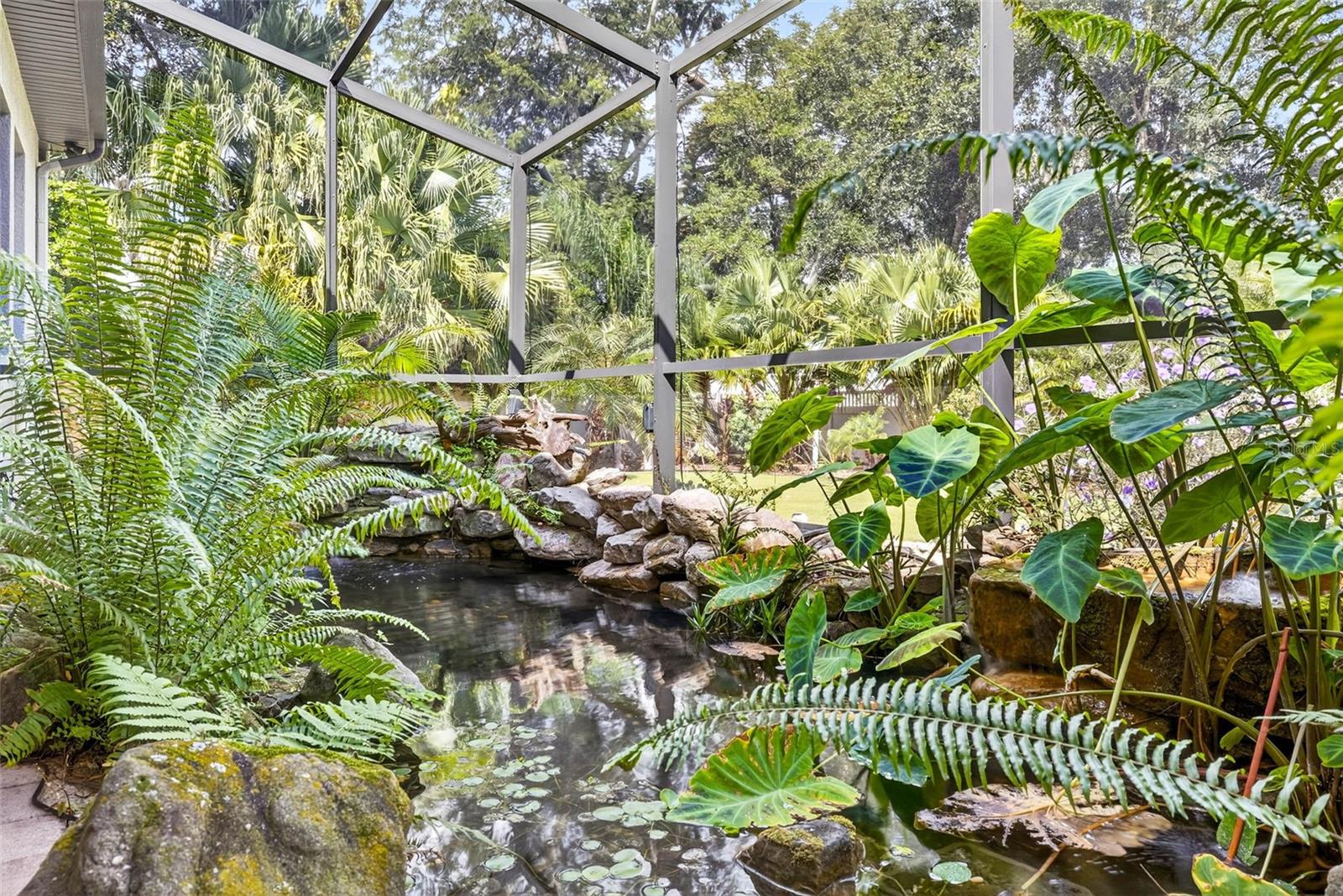 Koi Pond