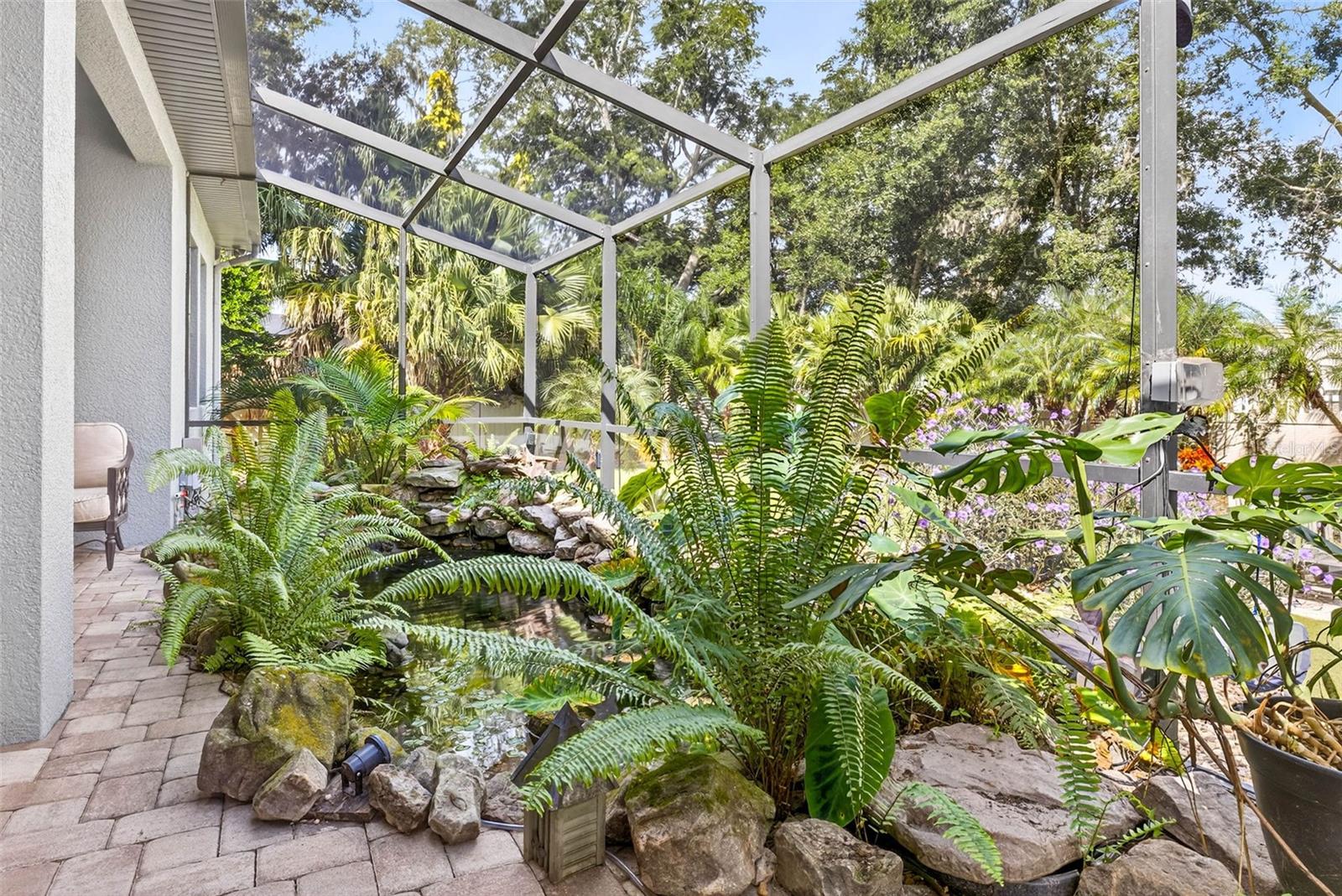 Koi Pond