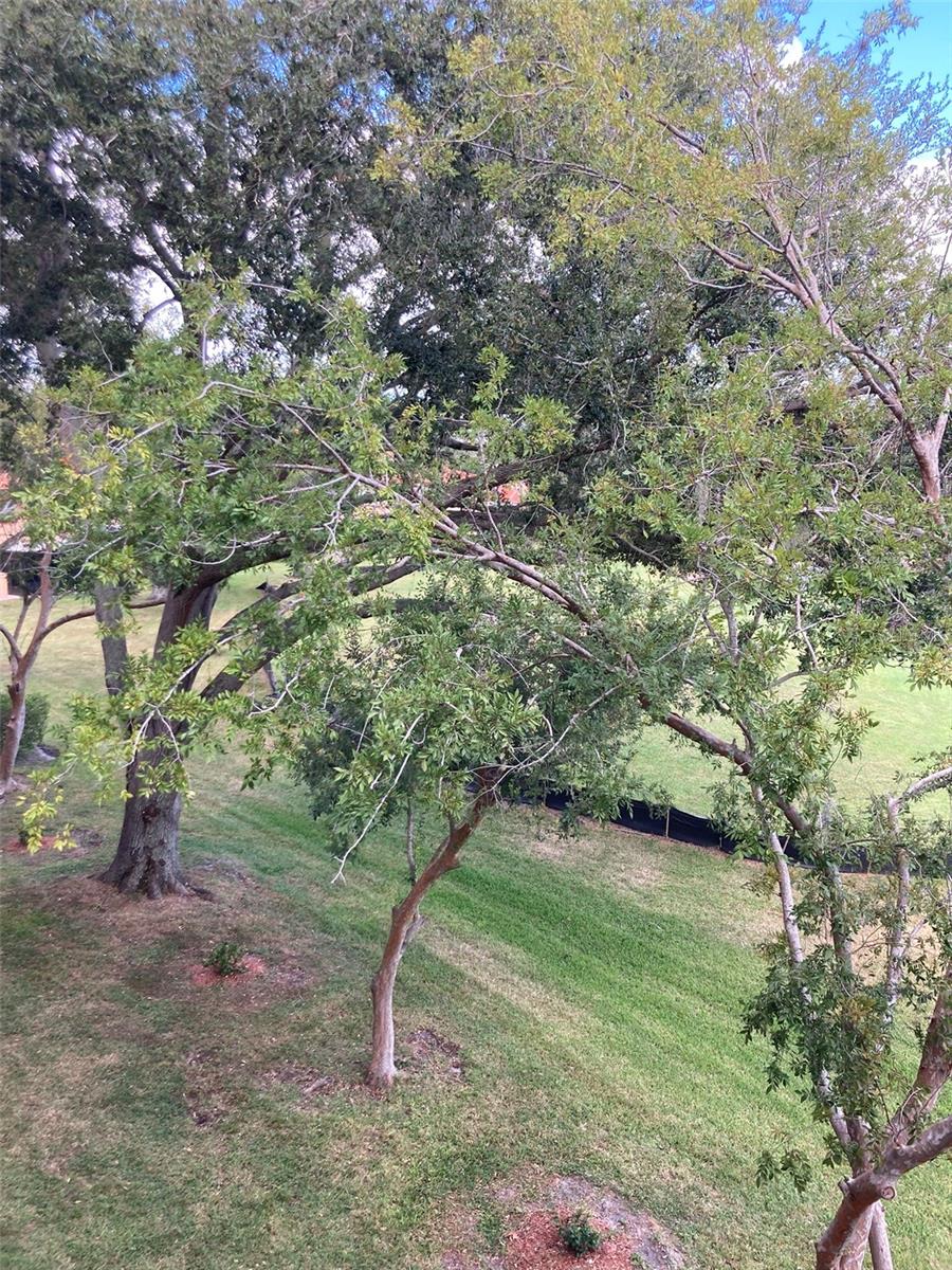 View from the balcony