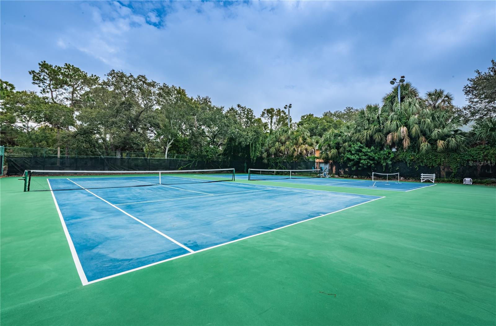 Tennis & pickleball court