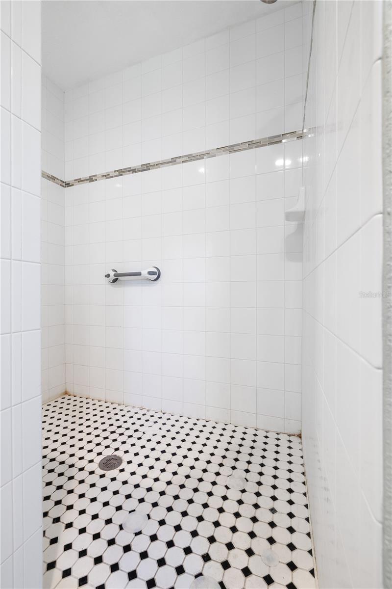 Walk-In Shower
