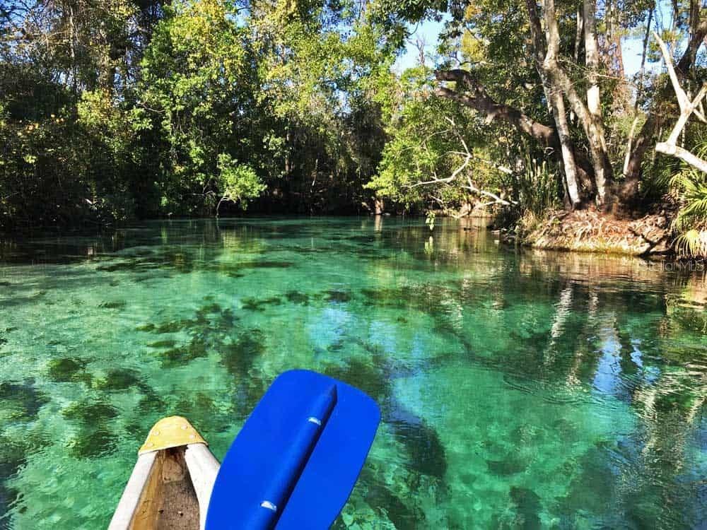 Weeki Wachee Reserve