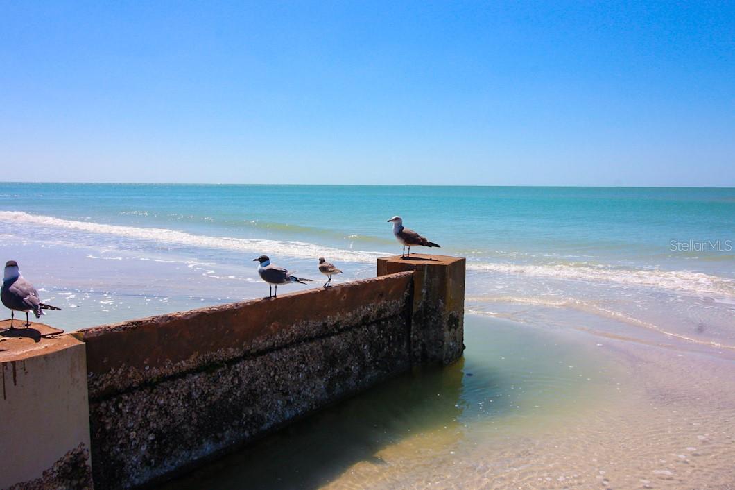 Beach wall