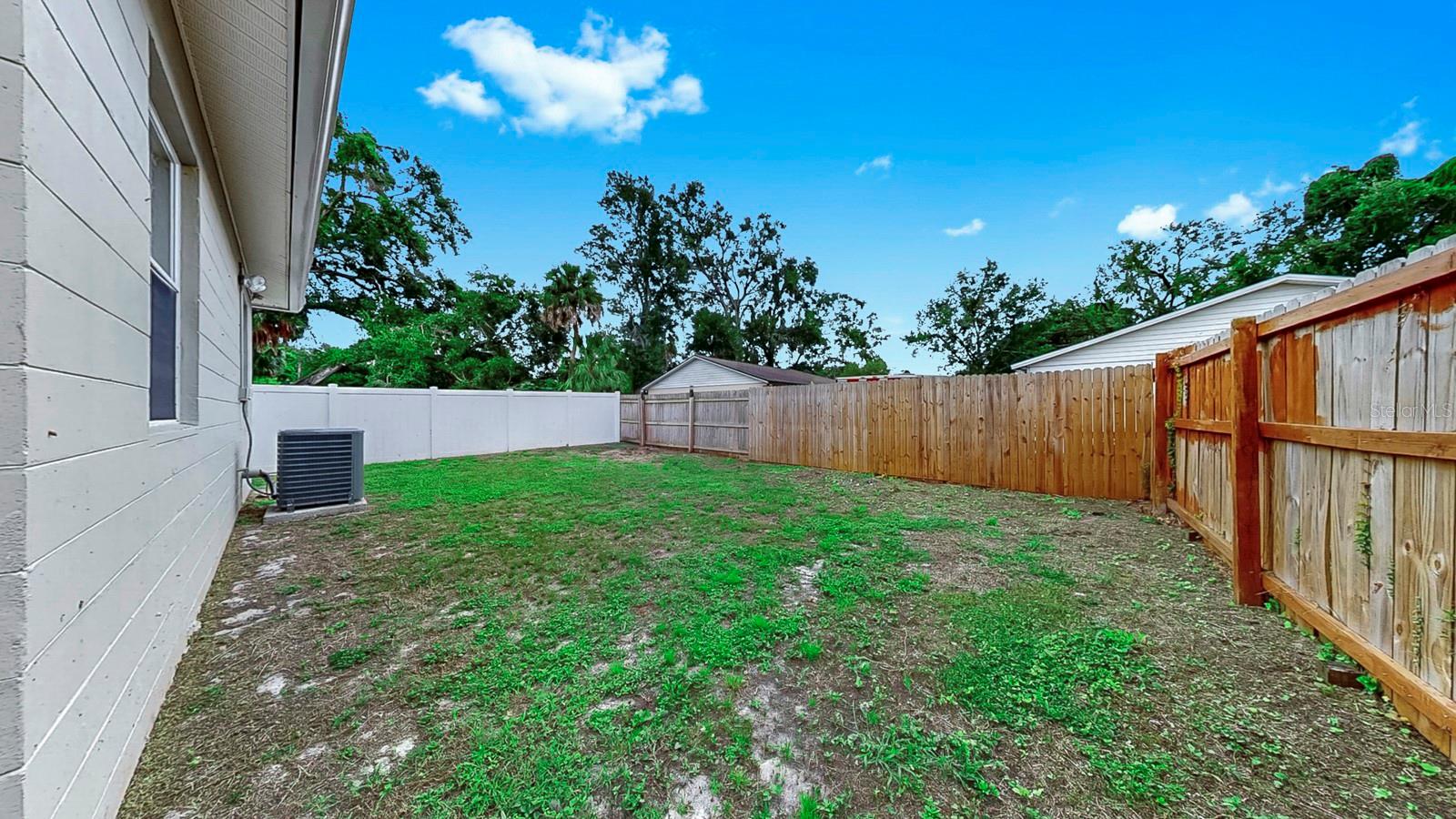 back yard