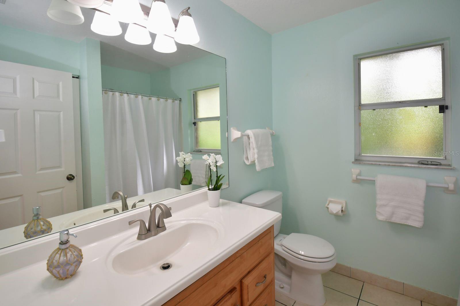 Hall Bath with Shower