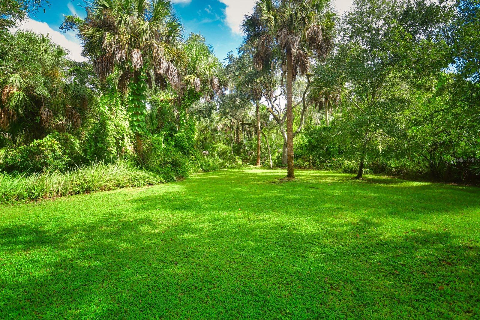 Private Back Yard with Wooded Preserve