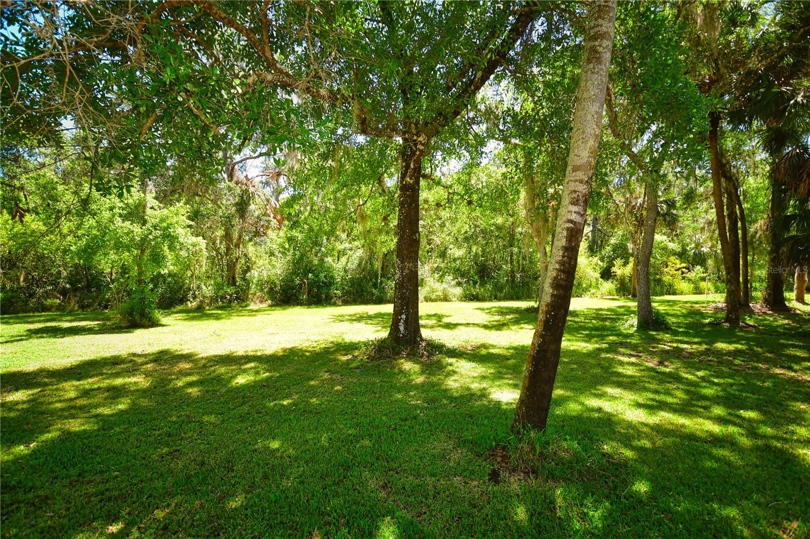 Shady Spaces