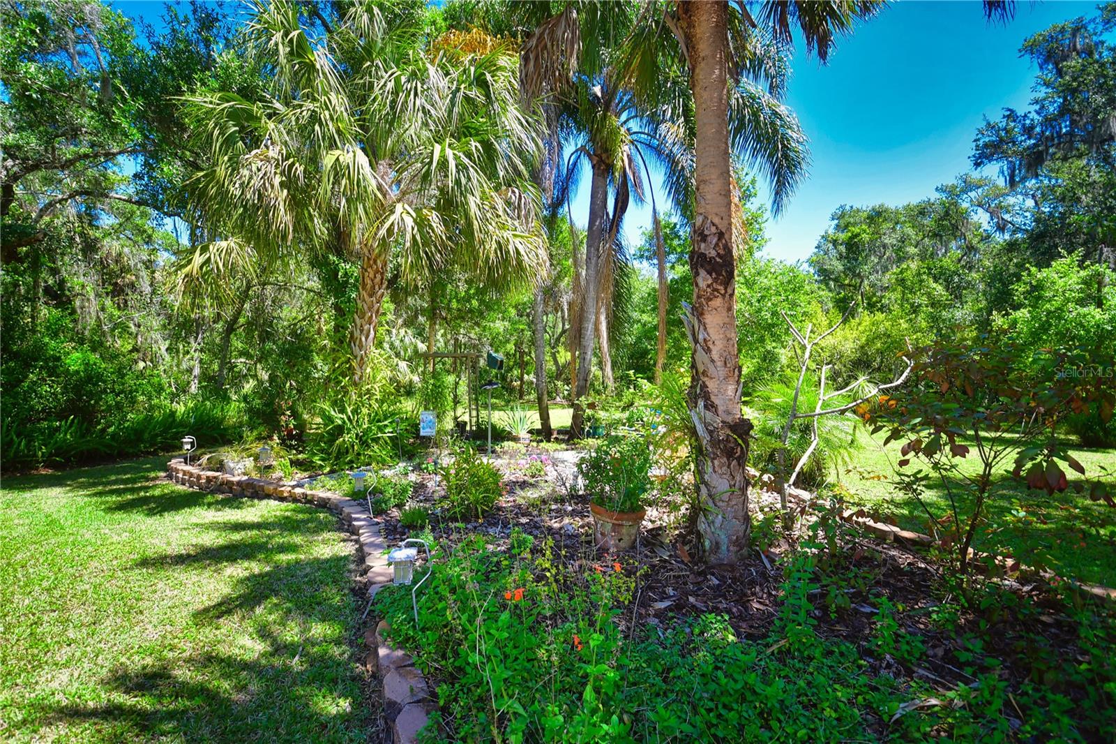 Butterfly Garden