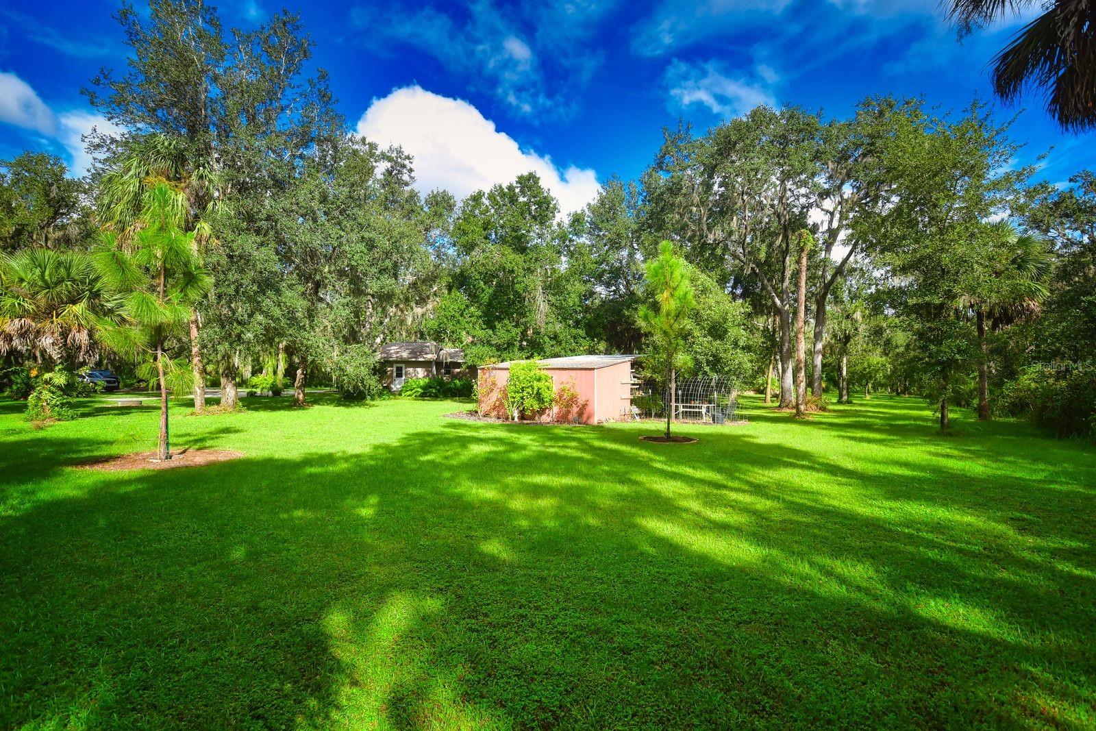 Gorgeous Green Space