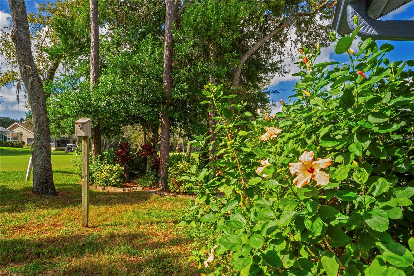 Landscaping