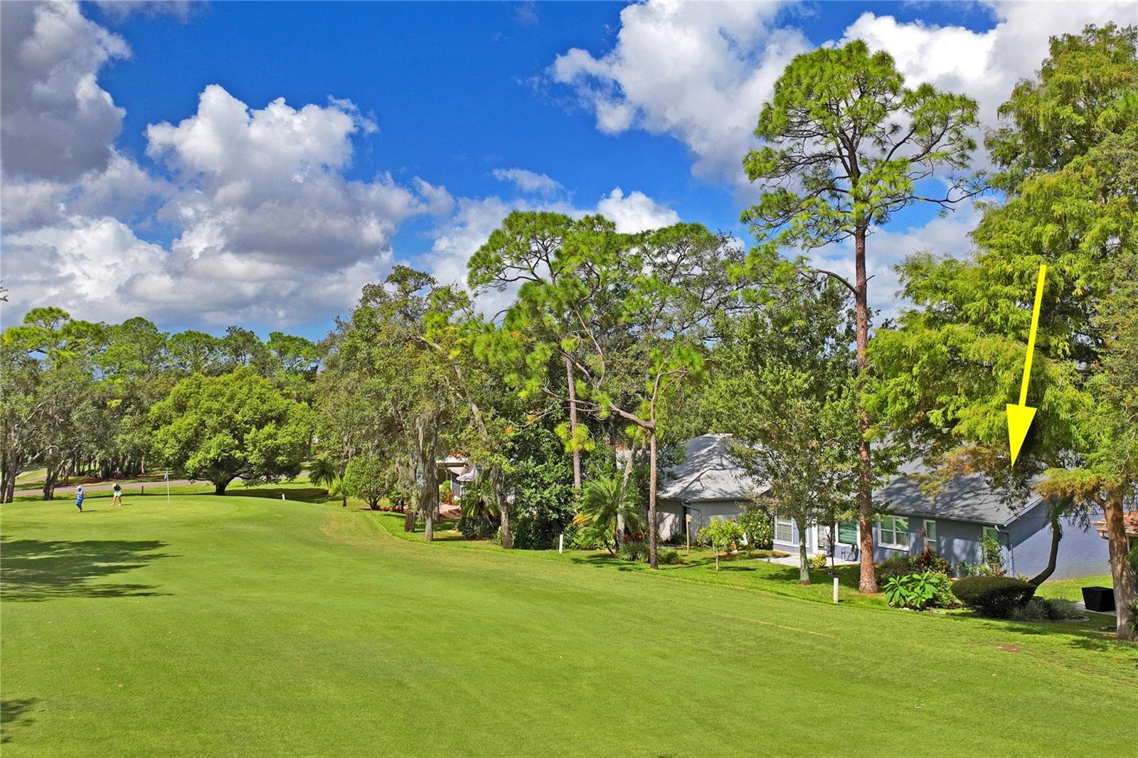 view of fairway #6, Hills.