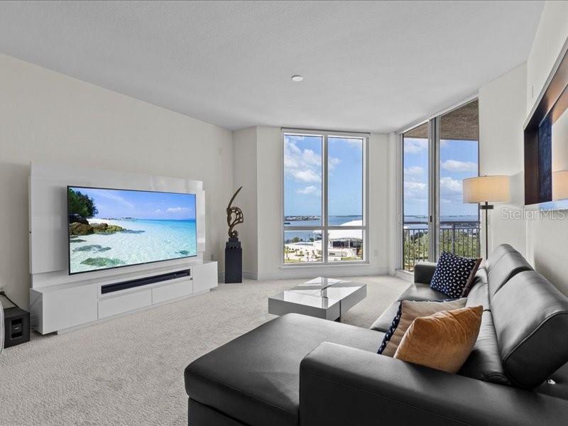 Living Room with a View!