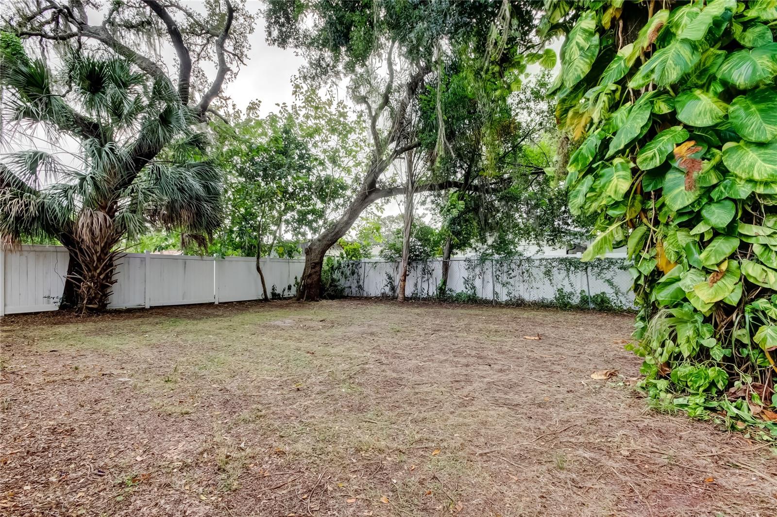 Backyard