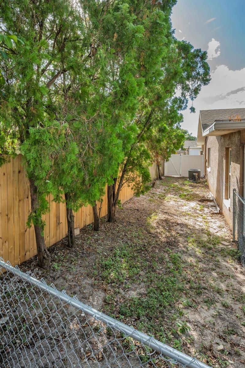Backyard