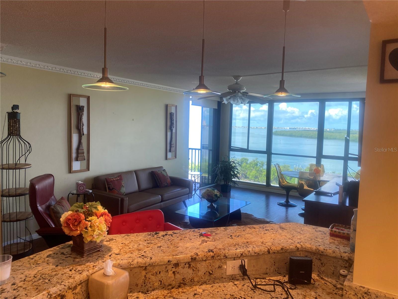 Viewpoint From Kitchen