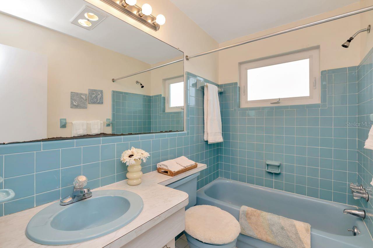 Guest Hallway bath