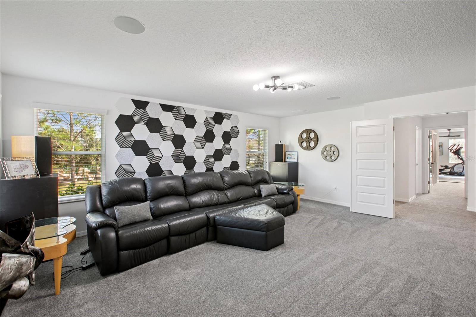 Bedroom 7 - Currently being Used at Theater  Room