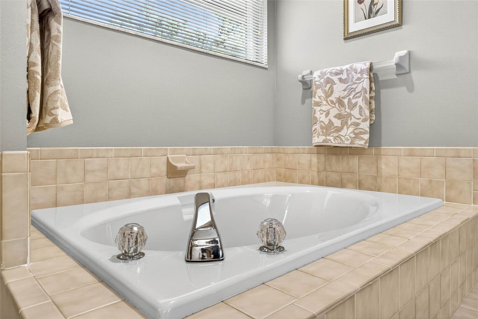 Separate Garden Tub