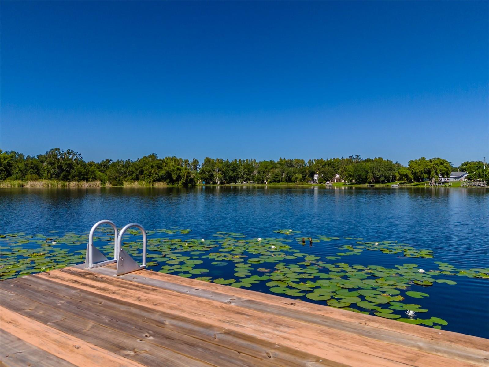 Landing section of Dock