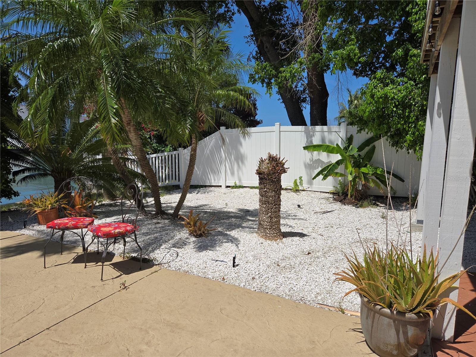Back yard