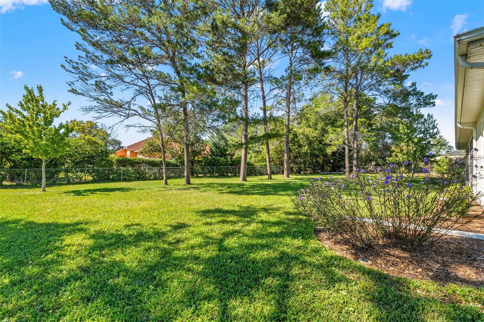 Large 1/2 acre lot
