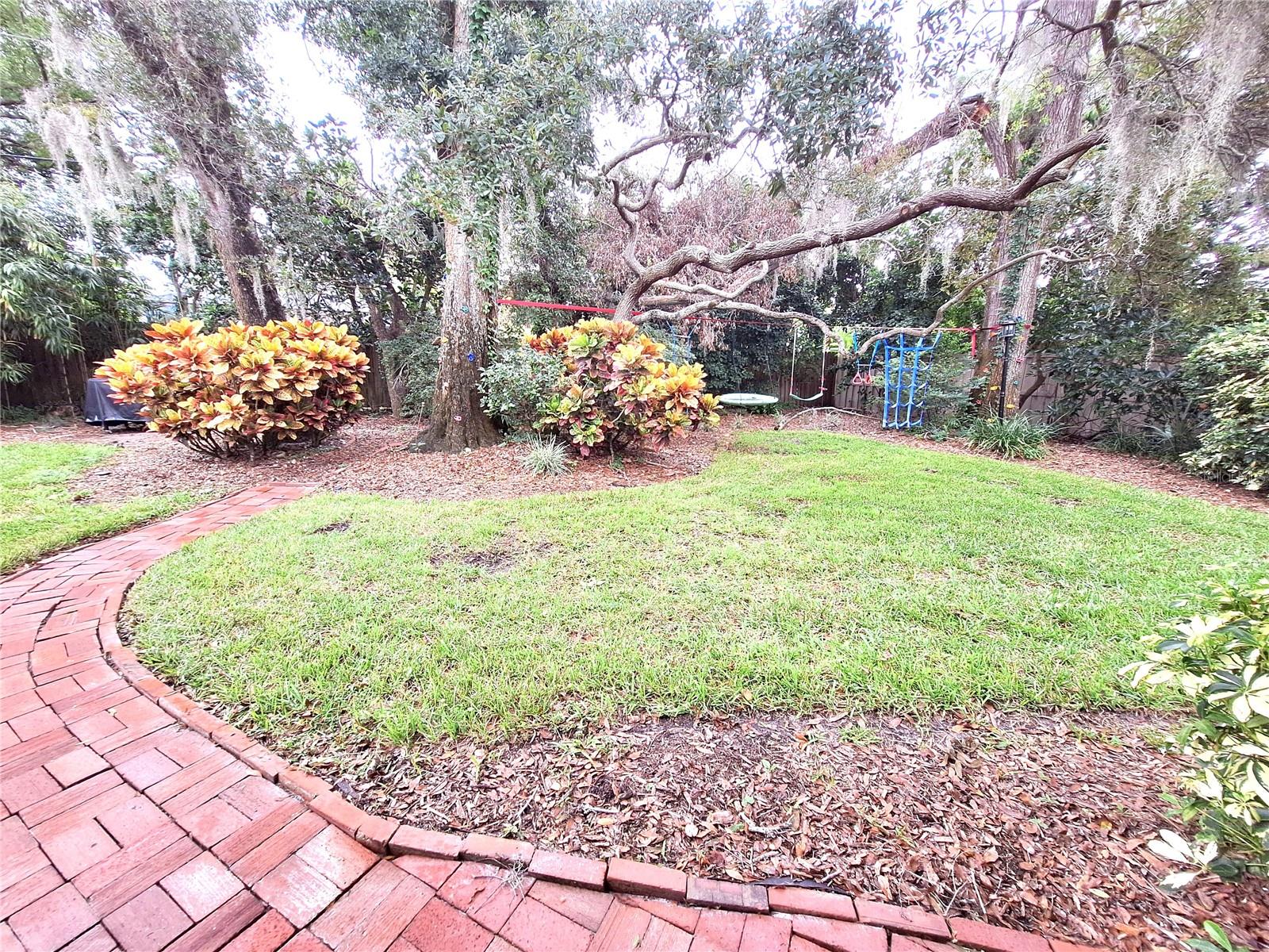 Park-like backyard