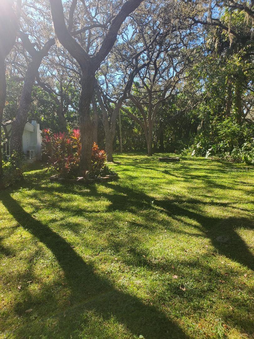 Side yard