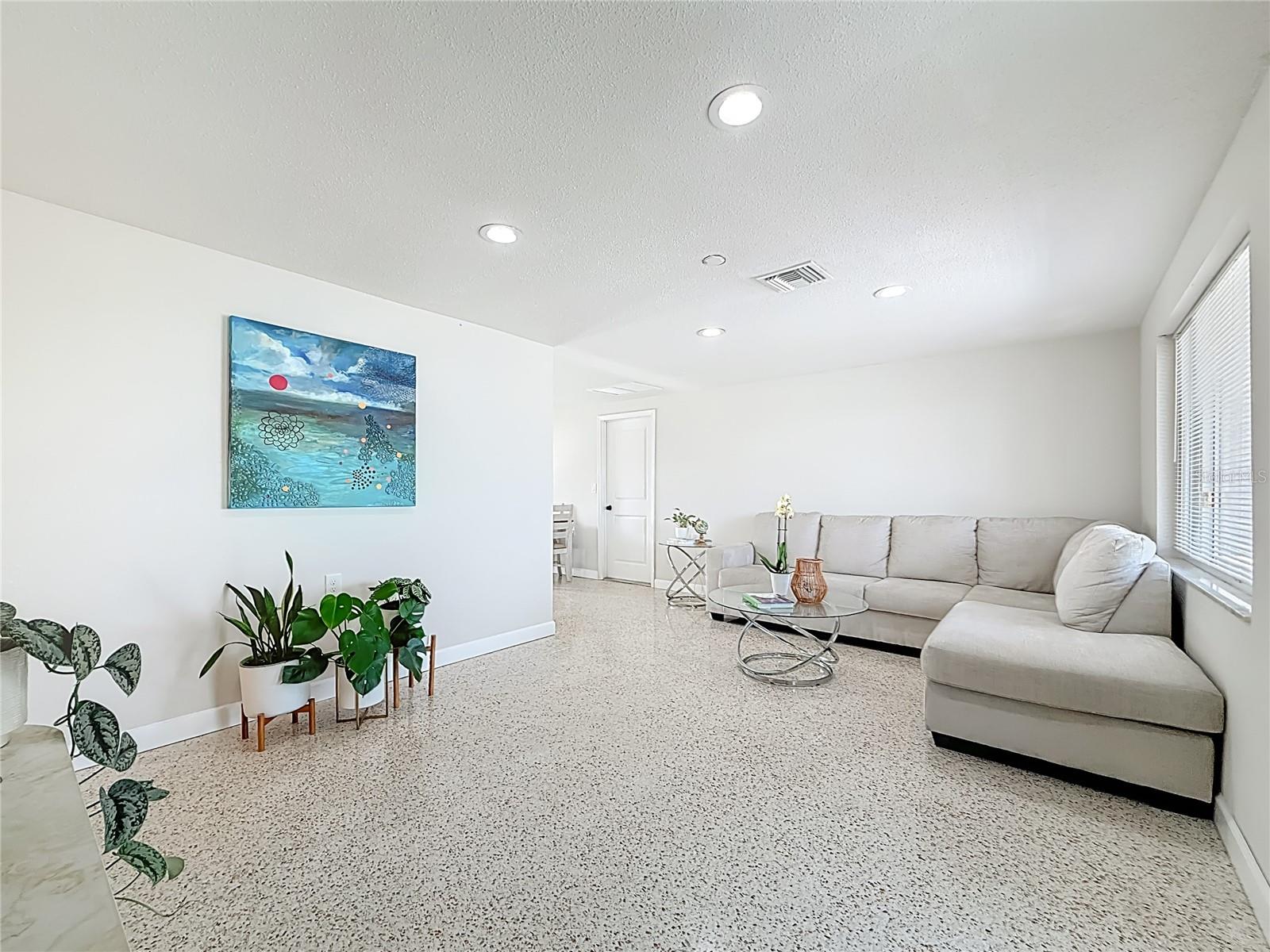 Spacious Living room