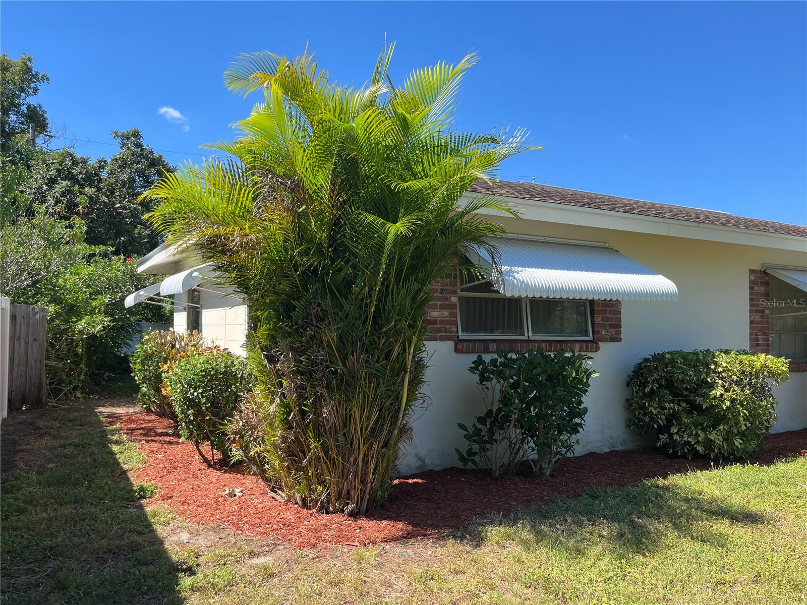 Front Left Side Yard