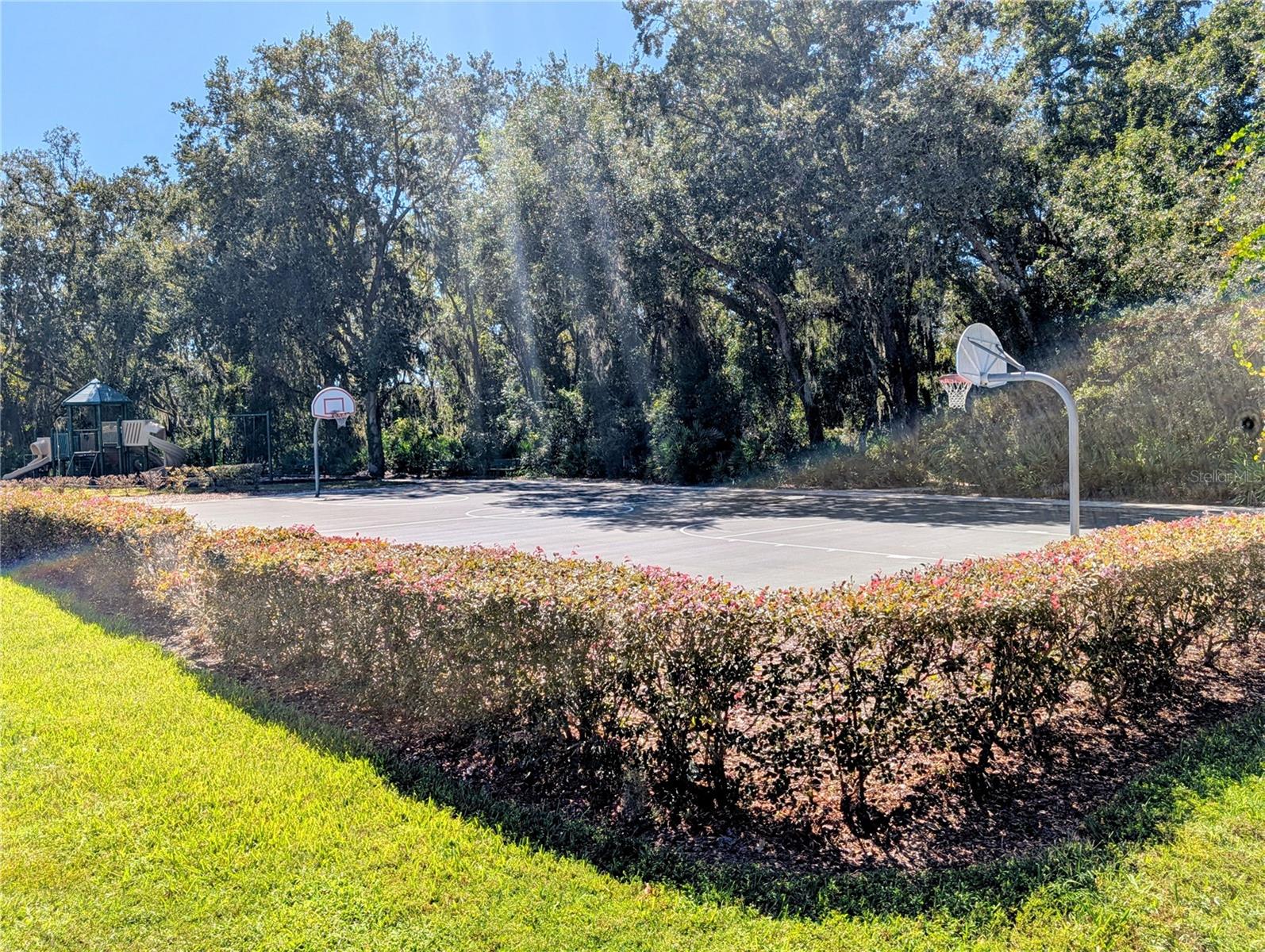 Community Basketball Court