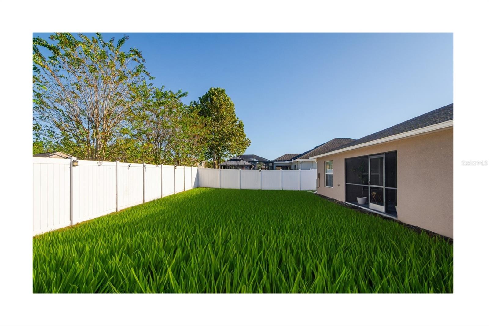 Backyard