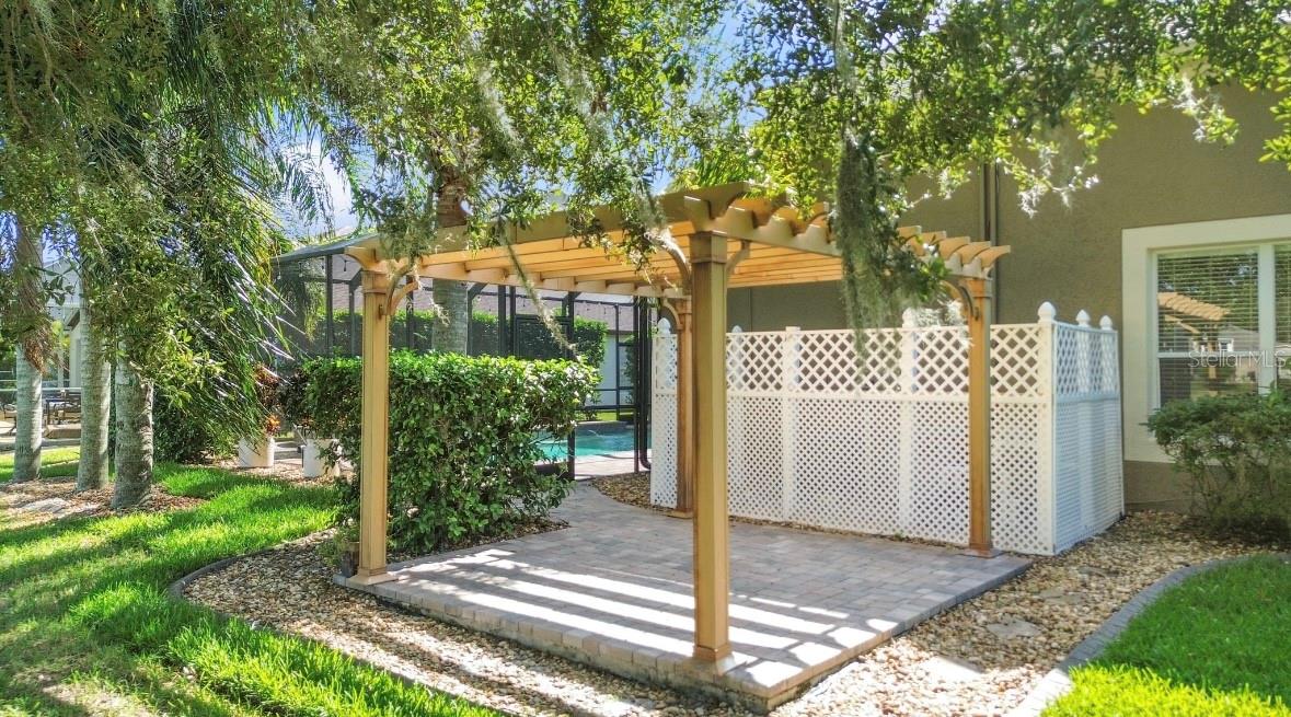 Pergola in backyard