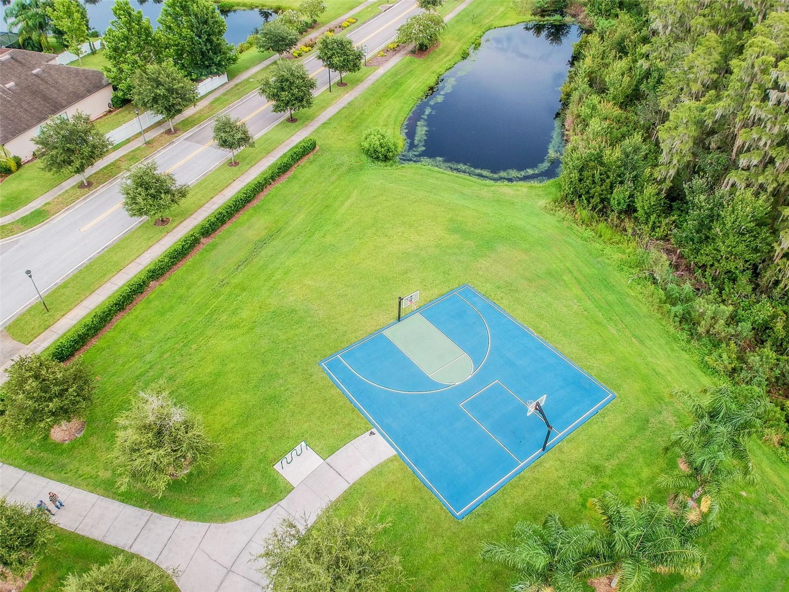 Basketball Court area
