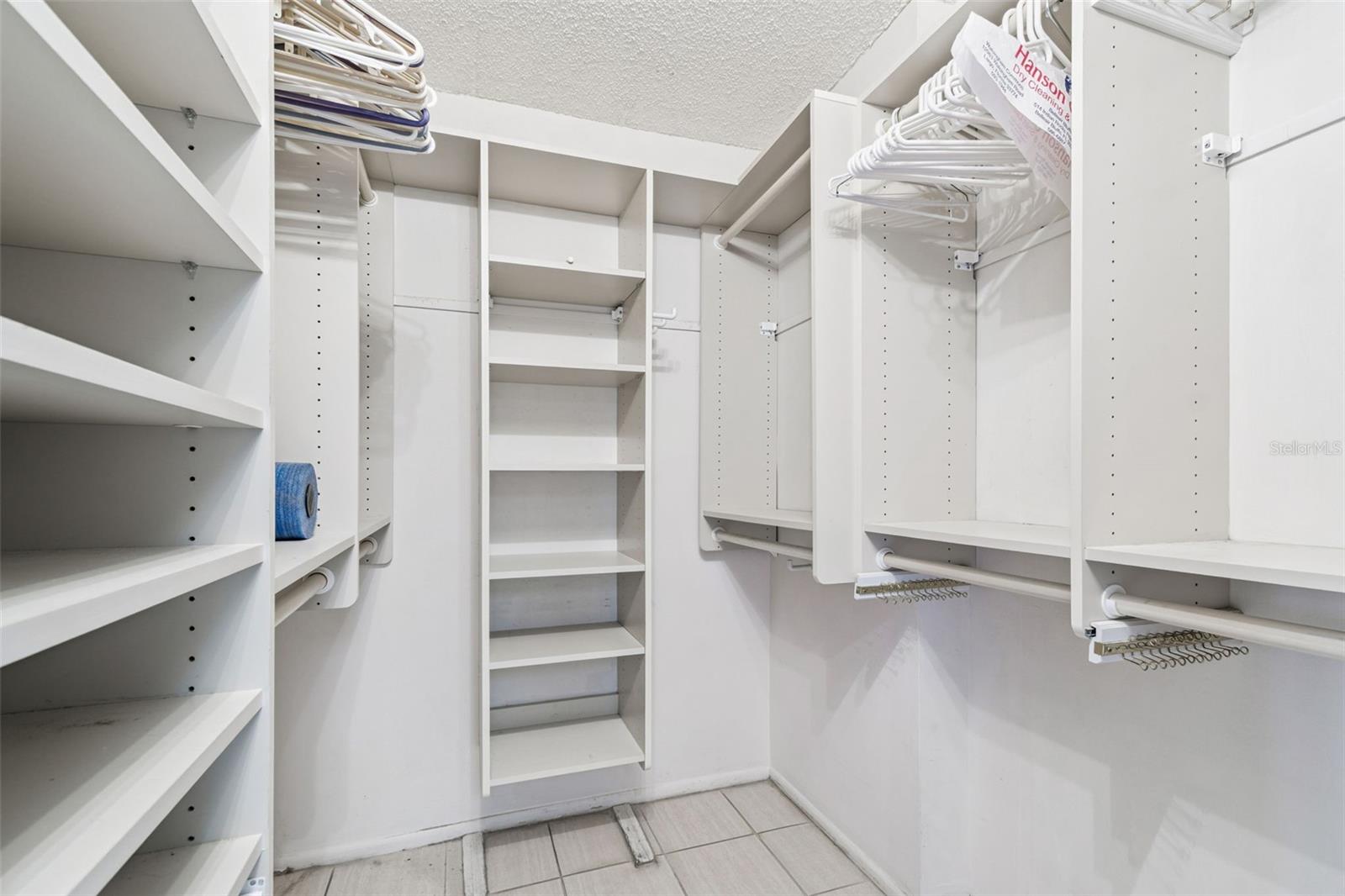 Walk-in closet with organizer